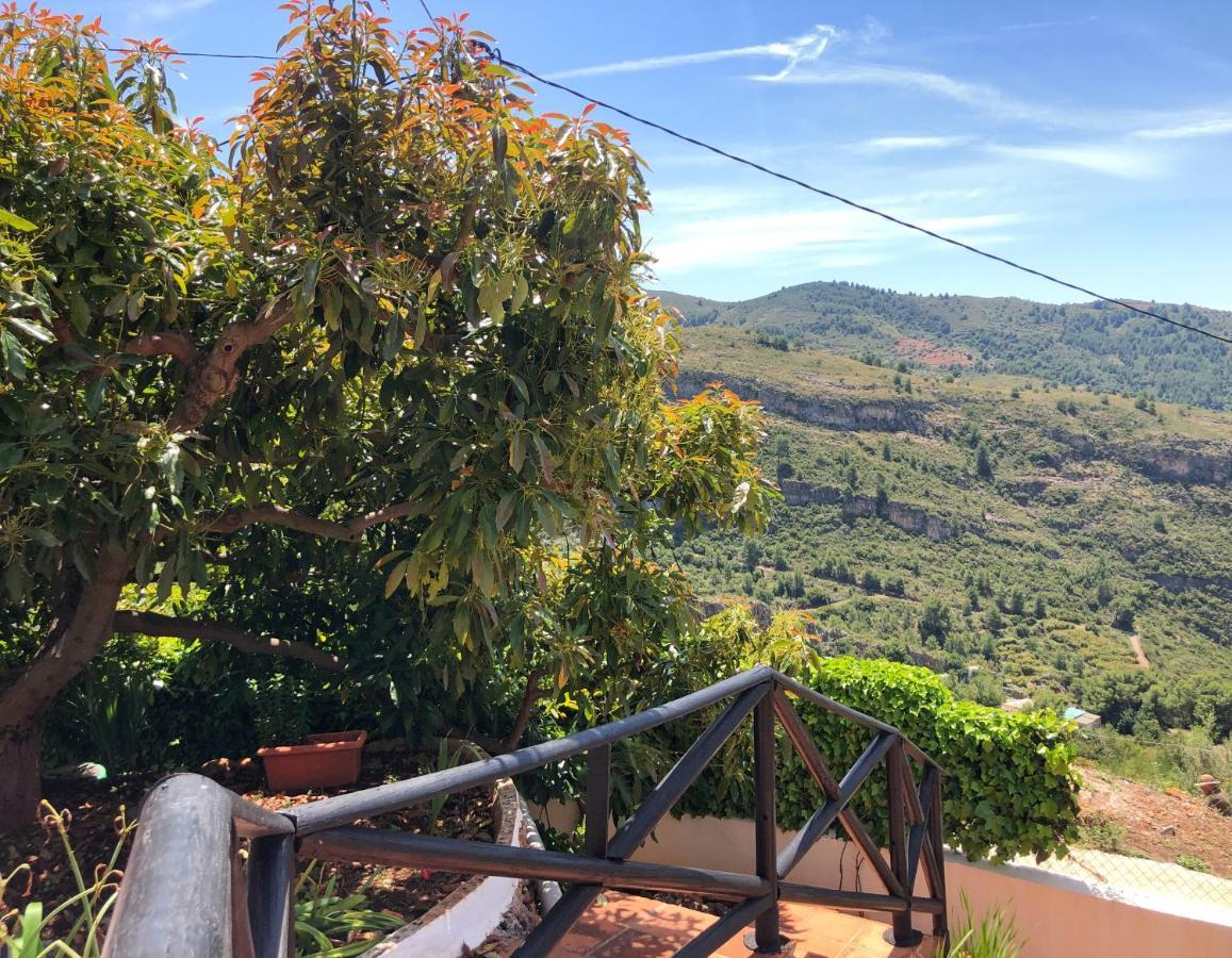 Villa Bonita Nerja Εξωτερικό φωτογραφία