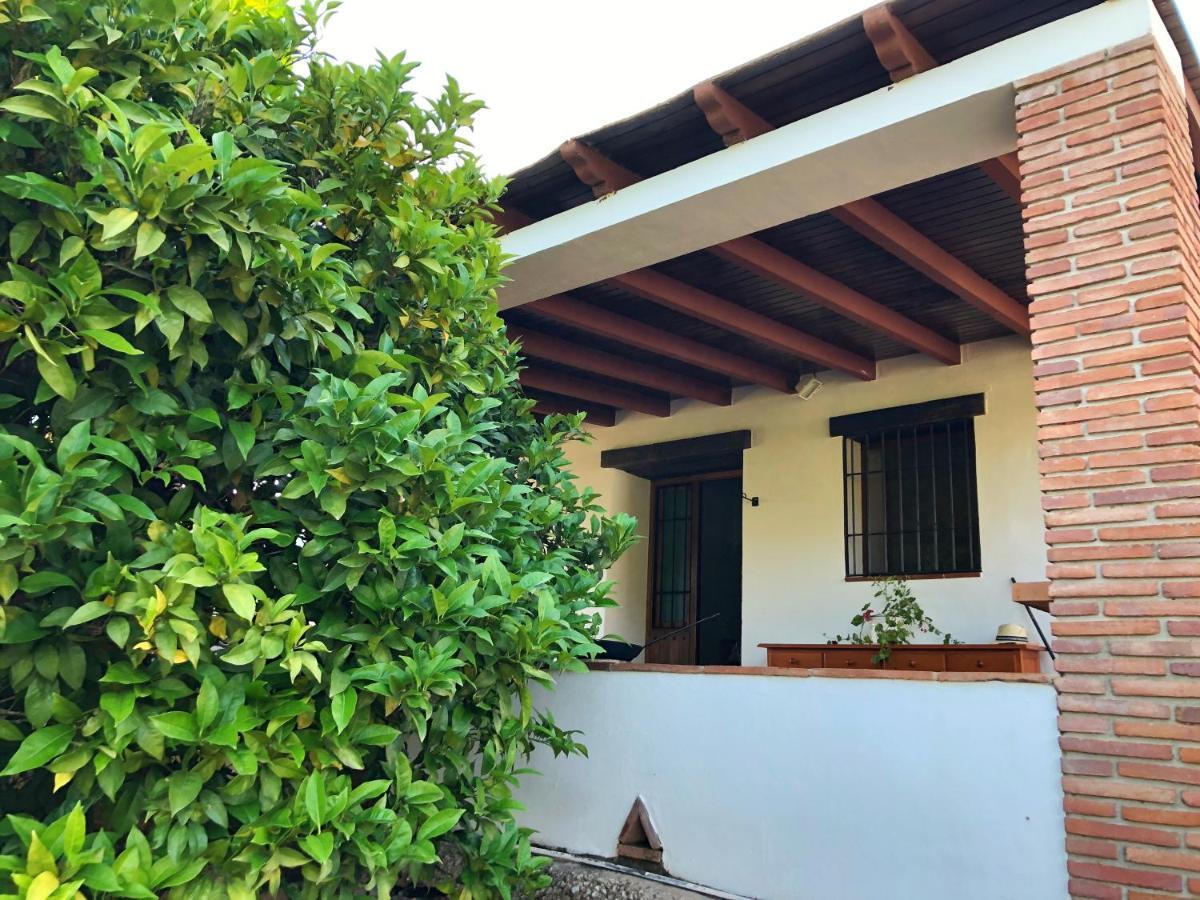 Villa Bonita Nerja Εξωτερικό φωτογραφία